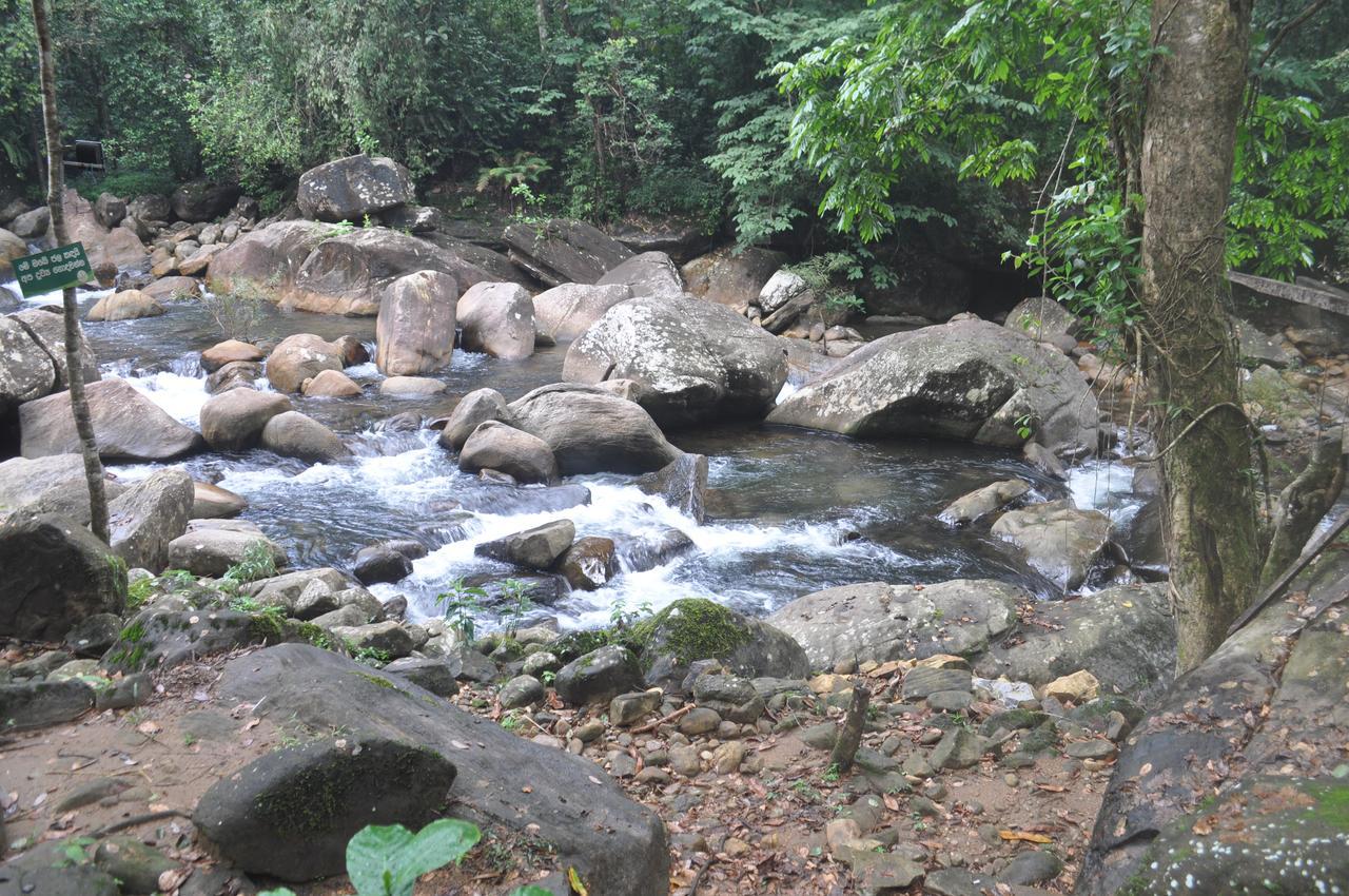 كتولغالا Girankiththa Eco Resort المظهر الخارجي الصورة